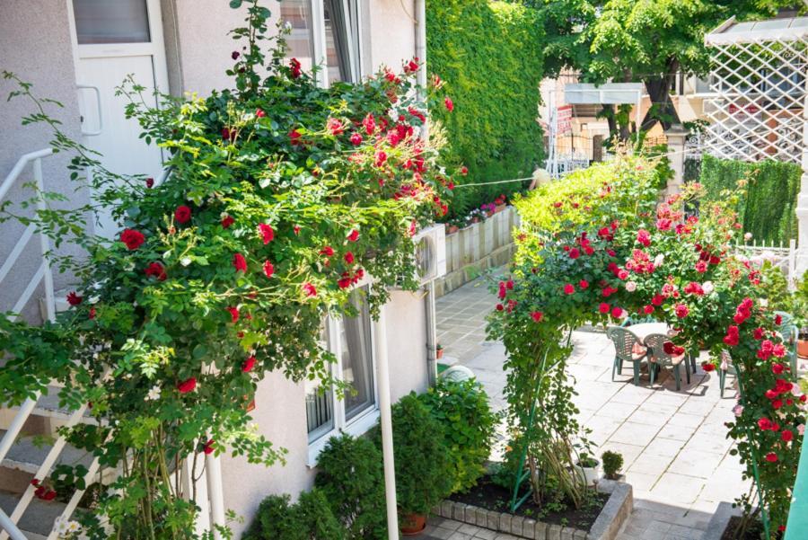 Hotel Relax Varna Ngoại thất bức ảnh